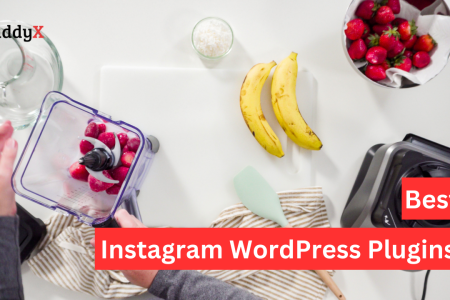 10 Best Instagram WordPress Plugins Of 2023